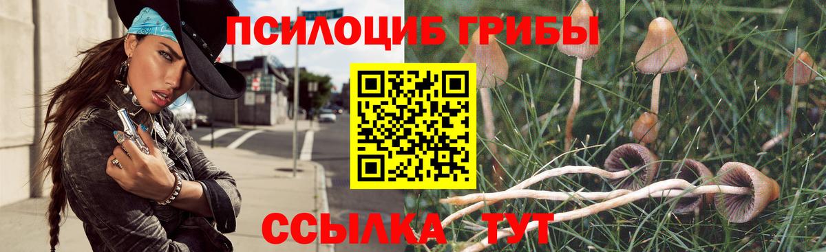 Псилоцибиновые грибы прущие грибы  Вход с VPN  Валуйки 