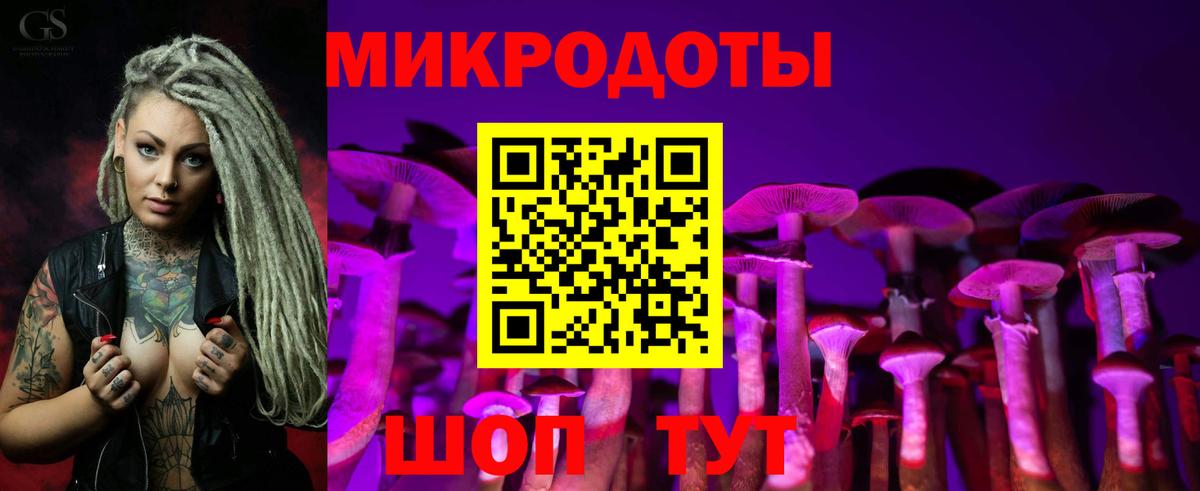 Галлюциногенные грибы Psilocybine cubensis Валуйки